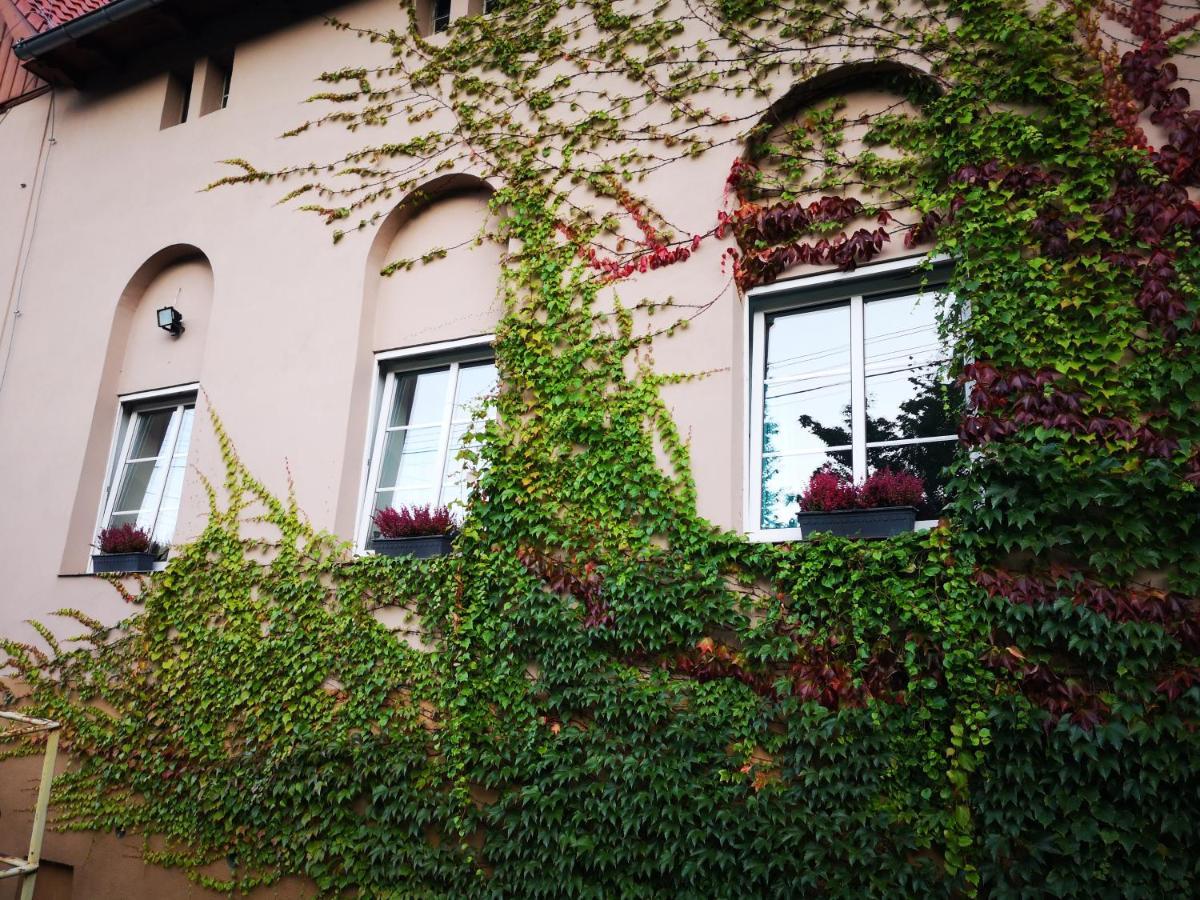 Ferienwohnung Apartament Nad Potokiem Wrzosowka Jelenia Góra Exterior foto